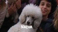 Nacha